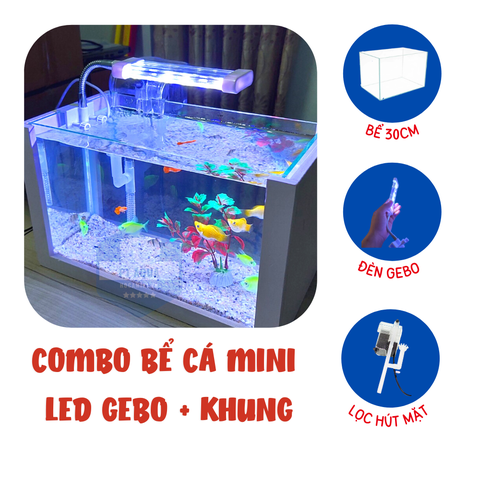 Bể cá mini để bàn TPHCM nên mua ở đâu?