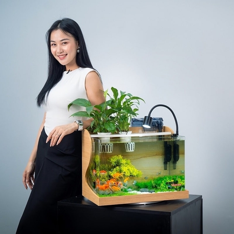 Hướng đặt bể cá cảnh cho người mệnh kim