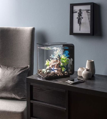 Gợi ý vị trí đặt bể cá phong thuỷ tốt, “mở cung tài lộc”