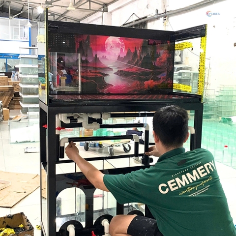 Dịch vụ làm hồ cá theo yêu cầu tại TPHCM