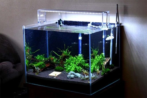 Hướng dẫn cách lắp máy lọc nước bể cá mini