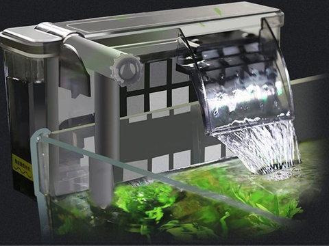 Bể cá nhỏ nên dùng lọc gì?