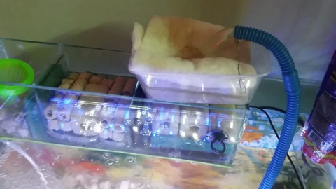 Hướng dẫn setup lọc tràn cho hồ cá cảnh