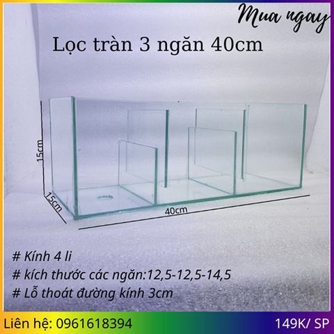 Hướng dẫn setup lọc tràn cho hồ cá cảnh