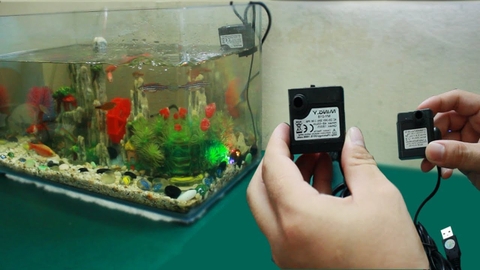 Cách xử lý máy lọc nước hồ cá mini không chạy