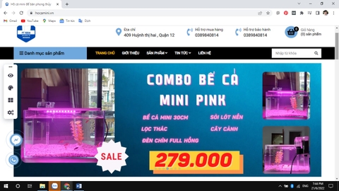 Mua bể cá mini phong thủy ở đâu?