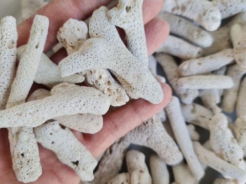 Lọc nước hồ cá gồm những gì?