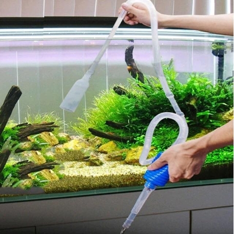 Cách vệ sinh bể cá thủy sinh hiệu quả