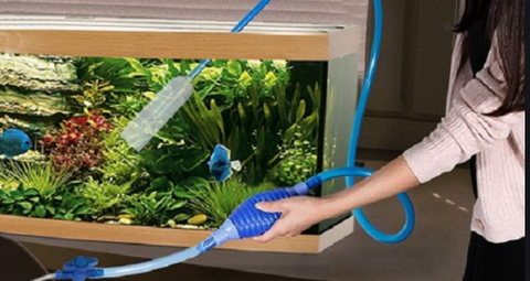 Hướ́ng dẫn cách xử lý nước hồ thủy sinh mới set up