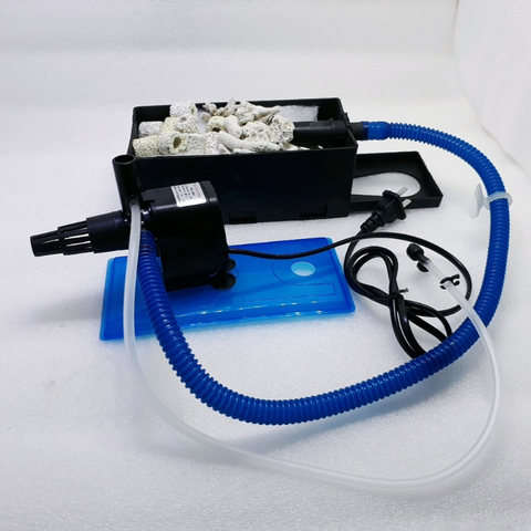 Bể cá để bàn trưng phòng khách