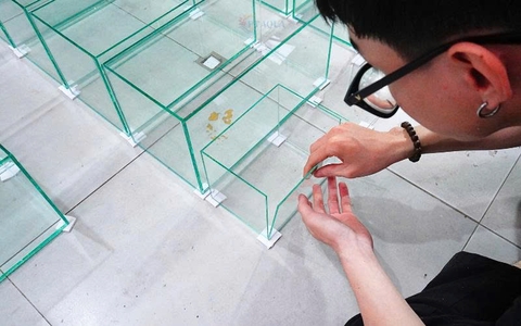 Nhận làm hồ cá cảnh tại TPHCM, chuyên sản xuất hồ cá cảnh theo yêu cầu