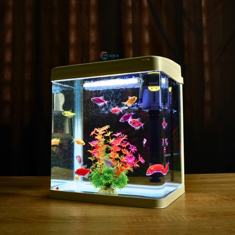 Bể Cá Mini Đúc Nguyên Khối 24cm Combo Đầy Đủ Phụ Kiện
