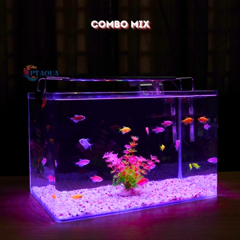 Bể cá mini Đúc uốn cong 35x21x23cm để bàn Với nhiều mẫu lựa chọn có kèm phụ kiện sỏi nền và cây nhựa