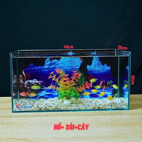 Bể cá Mini Để Bàn Có Tranh Dán  Kích Thước D40cm x R20cm x C20cm  Giúp Hồ Cá Đẹp Hơn