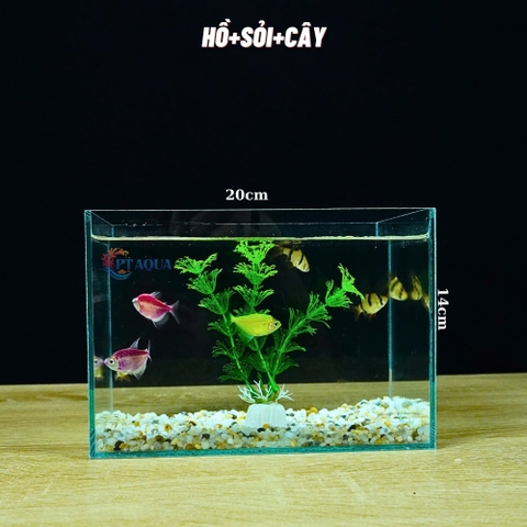 Bể Cá Mini Để Bàn 20x14x14cm Nhỏ Xinh Dễ Thương Phù Hợp Nuôi Cá Cảnh Nhỏ Để Bàn