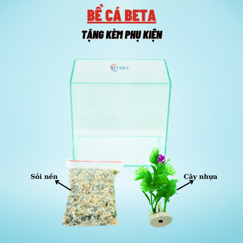 Bể cá mini BETTA nhỏ xinh để bàn