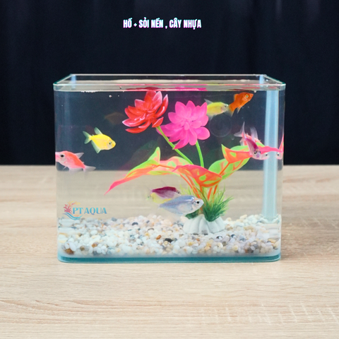 Bể cá mini Đúc uốn cong 20x14x16cm để bàn Với nhiều mẫu lựa chọn có kèm phụ kiện sỏi nền và cây nhựa