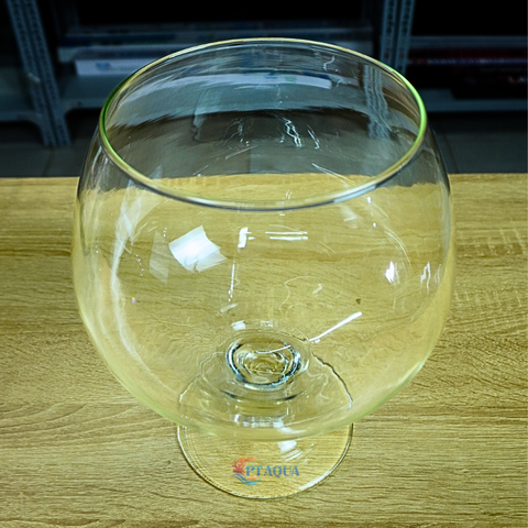 Chậu Thuỷ Tinh , Bể Cá mini Hình Ly Cỡ Đại Siêu To Kích Thước Bụng 24cm Cao 27cm hợp nuôi cá cảnh