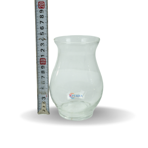 Chậu thủy tinh mini hình bầu bụng 10cm cao 13cm trồng cây nuôi cá thủy canh