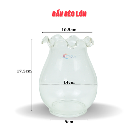 Chậu thủy tinh mini hình bầu bèo bụng 14cm cao 18cm trồng cây nuôi cá thủy canh
