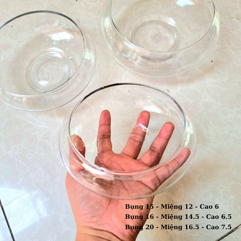 BS - Bể cá mini tròn để bàn, chậu thủy tinh trồng cây thủy sinh, chậu thủy tinh trang trí