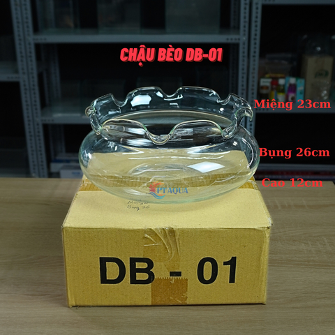 Bể Cá Mini, Chậu Thuỷ Tinh Tai Bèo DB phù hợp làm tiểu cảnh trang trí hoặc nuôi cá cảnh mini để bàn