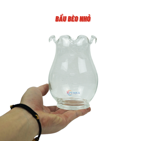 Chậu thủy tinh mini hình bầu bèo bụng 10cm cao 14cm trồng cây nuôi cá thủy canh