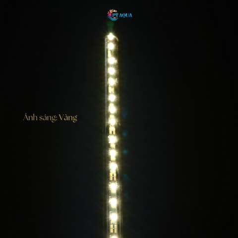 Đèn bể cá FULL VÀNG dành cho hồ cá cảnh