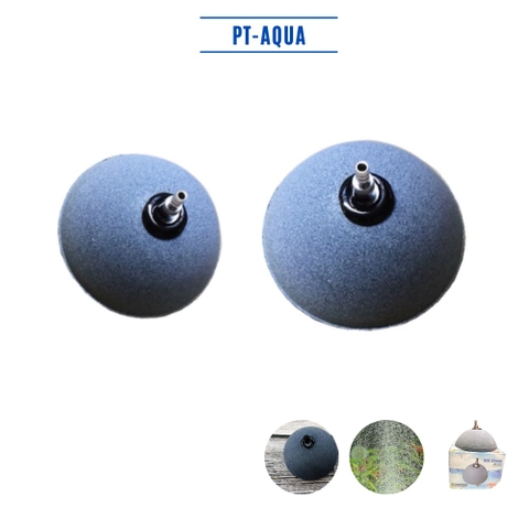 Đĩa sủi oxy nửa hình cầu dành cho hồ cá cảnh 6cm - 8cm - 10cm