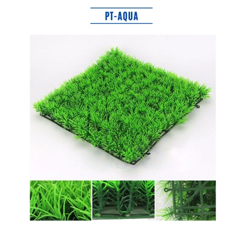 Thảm cỏ trang trí hồ cá đẹp rực rỡ ảo diệu tuyệt vời