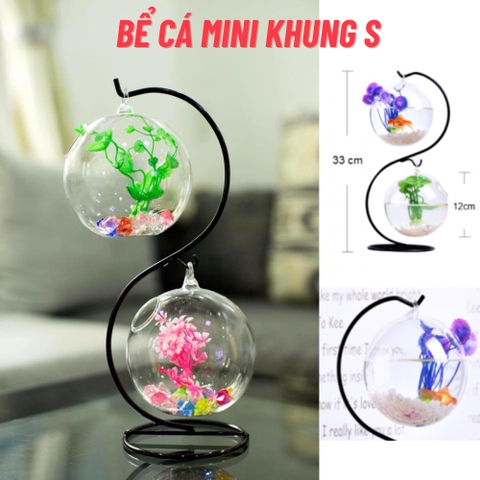 Bể cá mini treo để bàn chữ S