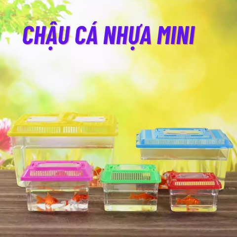 Bể cá mini nhựa, hộp nhựa có nắp quai sách phù hợp cho trẻ nhỏ nuôi cá cảnh , rùa mini