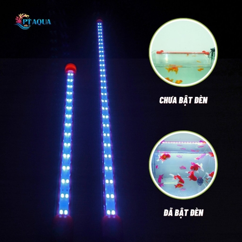 Đèn bể cá ĐỎ CÁ KHÔNG ĐỎ NƯỚC dùng kích lên màu cá màu đỏ chơi đẹp cho cá vàng cá ba đuôi