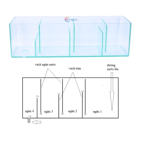 Lọc Tràn Hồ Cá Bằng KÍNH 30cm 40cm 50cm Giúp Lọc Sạch Nước Tạo Vi Sinh Cho Hồ Cá