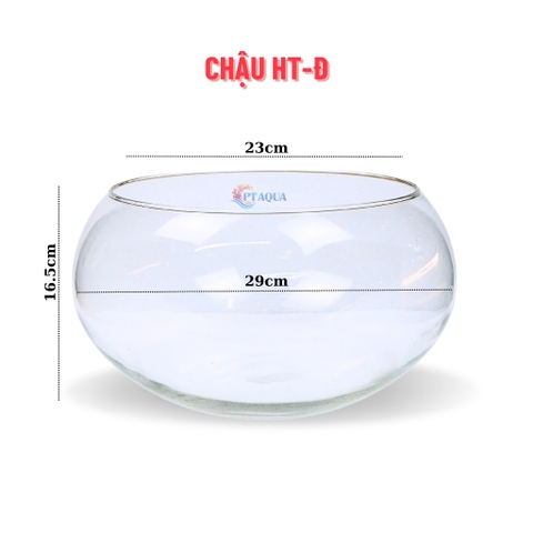 Chậu Thủy Tinh Tròn HT-Đ Size Lớn Nhất Bụng 30cm x Cao 16cm Dành Cho Nuôi Cá Hoặc Trang Trí