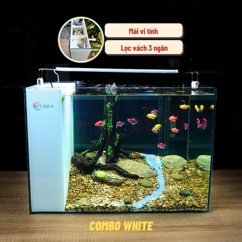 Bể Cá Mini Lọc Vách Kích Thước 50x33x35cm Để Bàn Đầy Đủ Phụ Kiện Có Sẵn Bơm và Vật Liệu Lọc