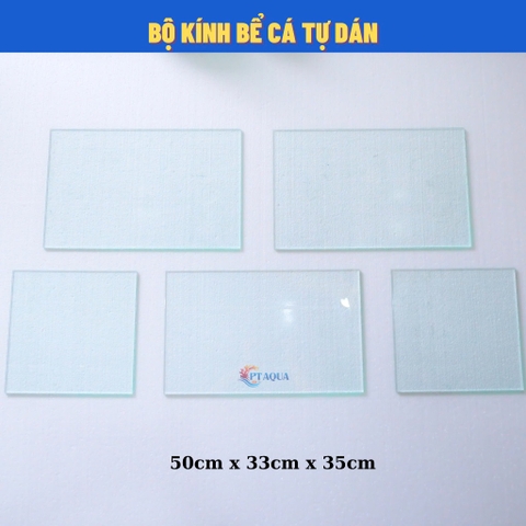 Bể Cá Tự Dán và Cắt Theo Yêu Cầu