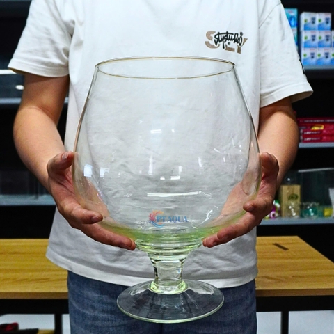 Chậu Thuỷ Tinh , Bể Cá mini Hình Ly Cỡ Đại Siêu To Kích Thước Bụng 24cm Cao 27cm hợp nuôi cá cảnh