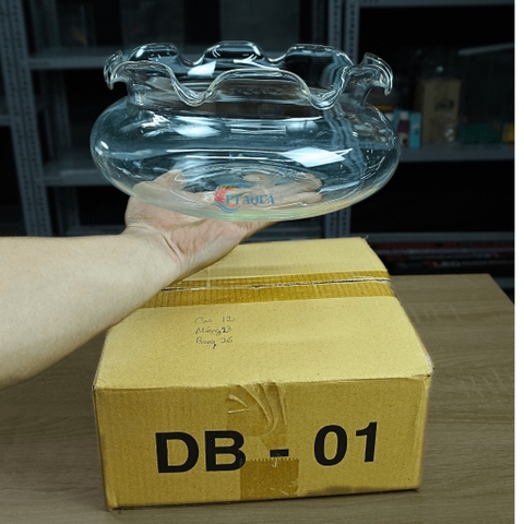 Bể Cá Mini, Chậu Thuỷ Tinh Tai Bèo DB phù hợp làm tiểu cảnh trang trí hoặc nuôi cá cảnh mini để bàn