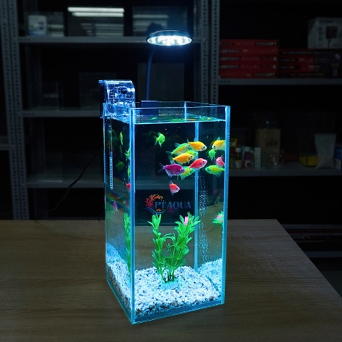 Bể Cá Mini Để Bàn Trụ Đứng 15x15x30cm Phù Hợp Nuôi Cá Cảnh Mini