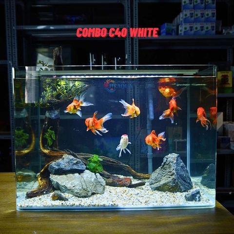 Bể Cá Cảnh Uốn Cong 50x33x35cm Hàng Nhập Khẩu Cao Cấp Mài Siết Cạnh cho Độ Thẩm Mỹ Cao
