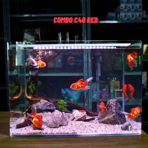 Bể Cá Cảnh Uốn Cong 45x28x30cm Hàng Nhập Khẩu Cao Cấp Mài Siết Cạnh cho Độ Thẩm Mỹ Cao