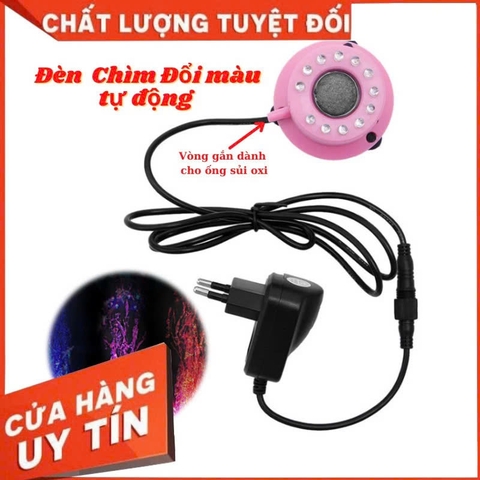 Đèn bể cá (BBL) chìm đổi màu tự động hiệu ứng đẹp