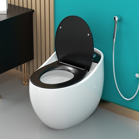 Bồn cầu trứng, bệt vệ sinh F-T06