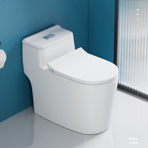 Bồn cầu 1 khối, bệt vệ sinh F-065