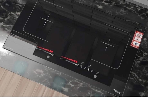 Bếp từ đôi Canzy CZ-686DP