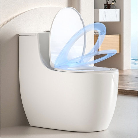 Bồn cầu 1 khối, bệt vệ sinh CR6663