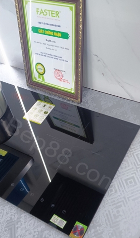 Bếp từ đôi Faster FS 738i Plus