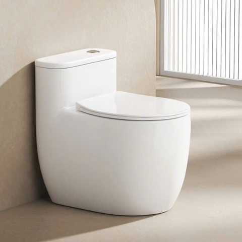 Bồn cầu 1 khối, bệt vệ sinh CR6664