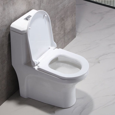 Bồn cầu 1 khối, bệt vệ sinh F-020